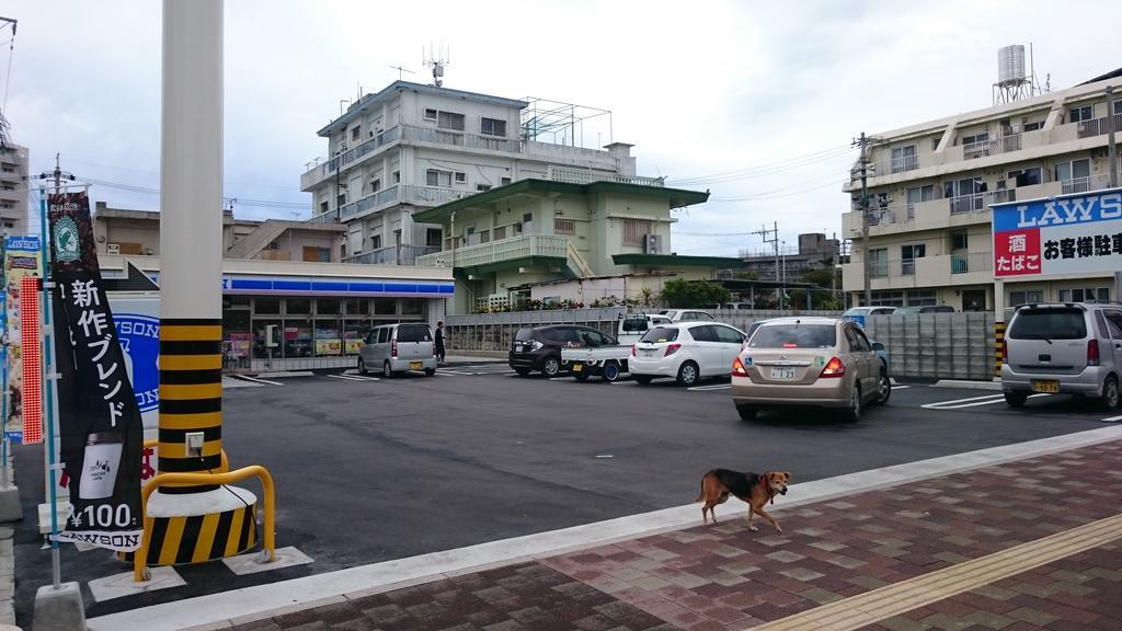 Koza Share House Hotel Okinawa Zewnętrze zdjęcie